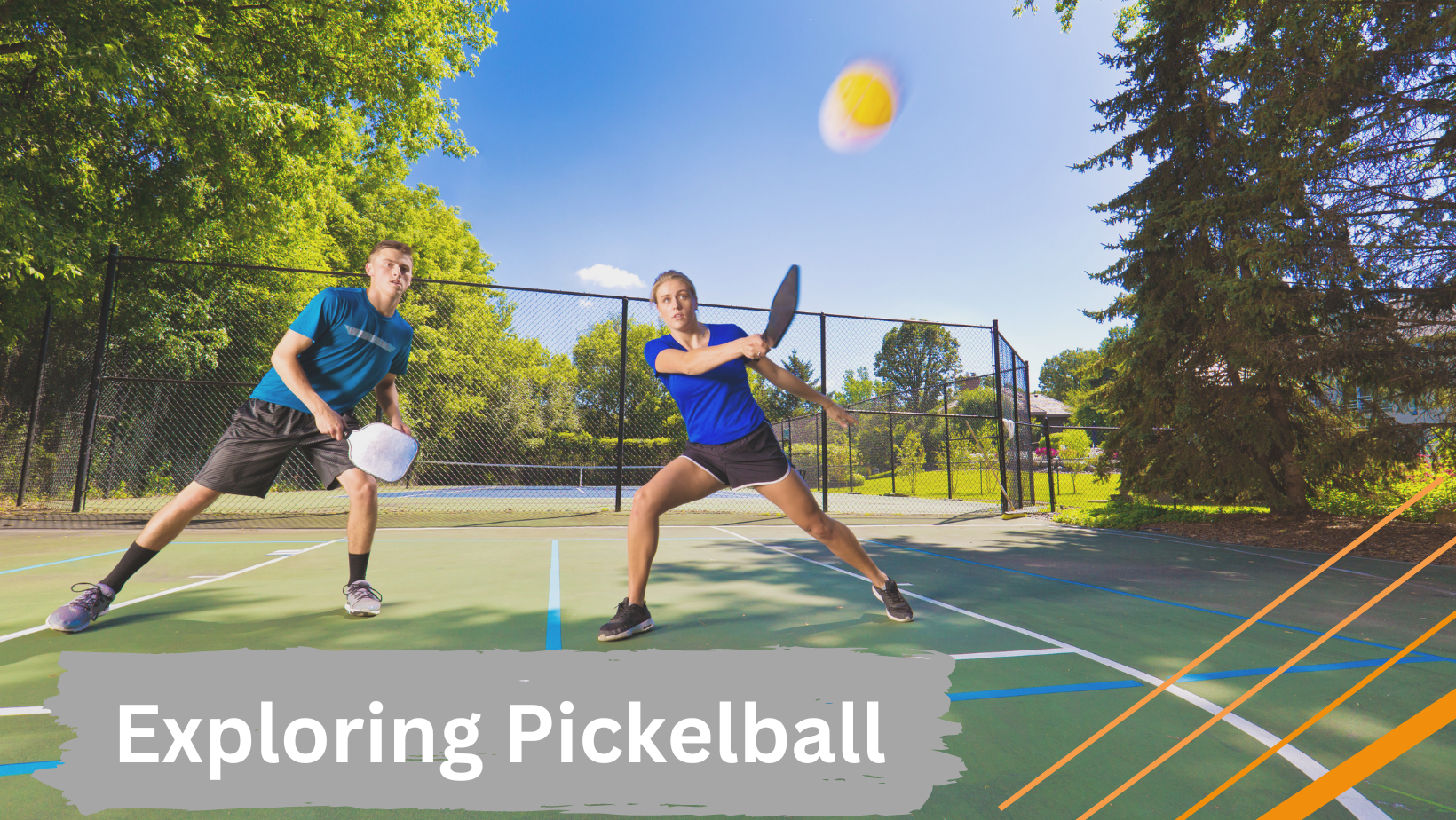 Discovering the World of Pickleball