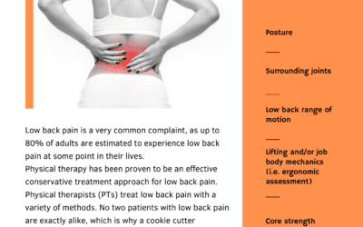 Low Back Pain: One Size Does Not Fit All