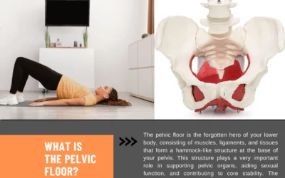 The Pelvic Floor and Its Importance